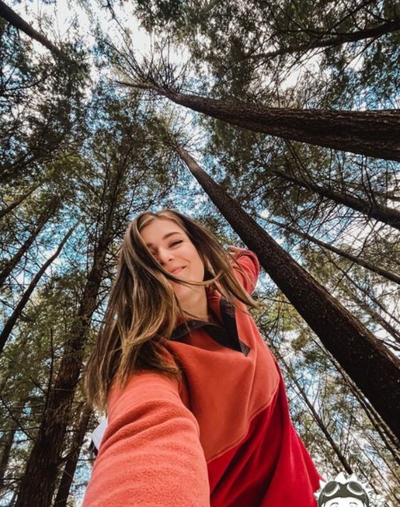 Looking up through pines